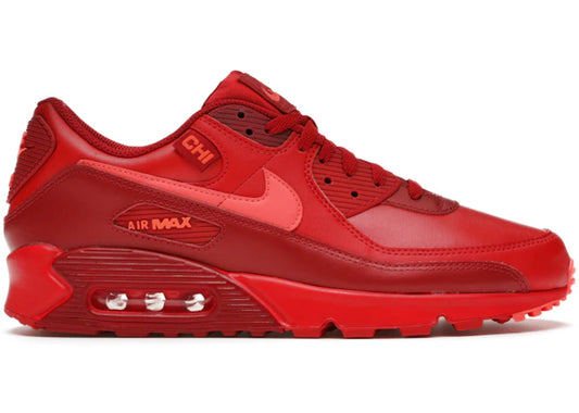 Nike Air Max 90 City Special Chicago