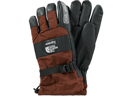 Supreme The North Face Steep Tech Gloves Brown